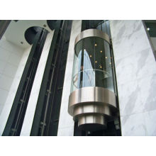 DEAO Good price observation elevator with hairless stainless steel